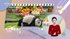 母亲之友